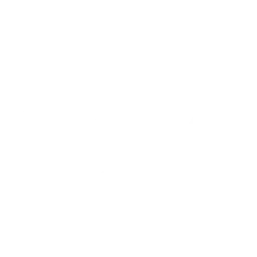Led Sports